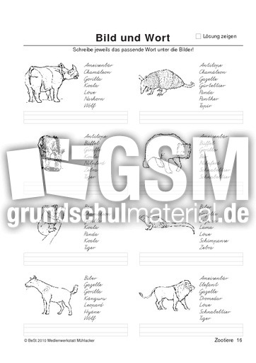 BuW Zootiere16.pdf